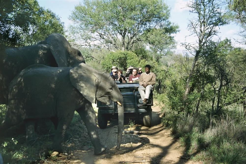 Chapungu Luxury Tented Camp